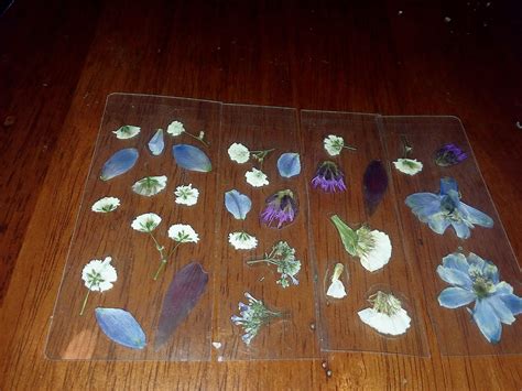 Can You Laminate Flowers? Exploring the Intersection of Preservation and Creativity