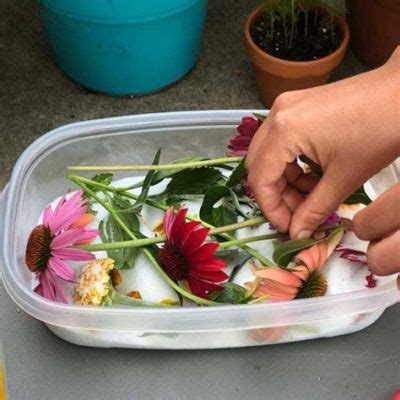 How to Dry Flowers for Resin Quickly: A Comprehensive Guide