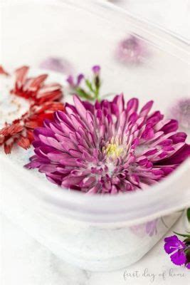 How to Preserve Flowers from a Funeral: A Journey Through Memory and Time