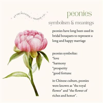 Peonies Flowers Meaning: A Blossom of Paradoxes and Possibilities