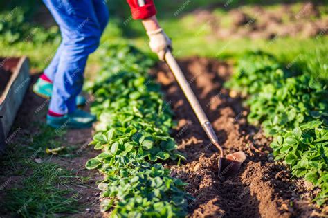 What is Commercial Gardening: Cultivating Profits and Sustainability