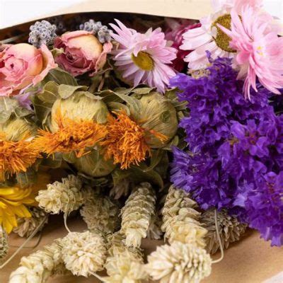 What to Do with Dry Flowers: A Journey Through Creativity and Practicality