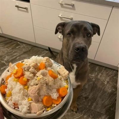 What to Feed a Cane Corso