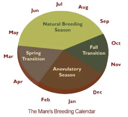 When is Horse Breeding Season: A Time When the Grass Whispers Secrets to the Moon