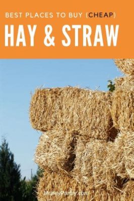 Where to Buy Straw Bales for Gardening Near Me: A Journey Through the Haystack of Possibilities