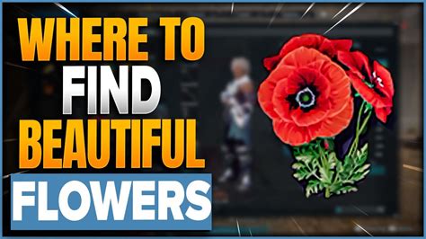 Where to Find Beautiful Flowers Palworld: A Journey Through Virtual Blooms and Real-World Inspiration